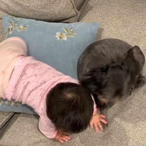 Meet your Posher, Ranjiao